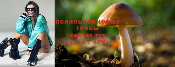 герыч Алексин