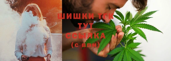 спайс Алзамай