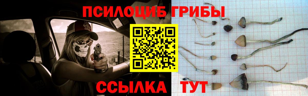 Галлюциногенные грибы Psilocybine cubensis Лысьва