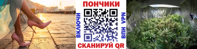 Марихуана сатива  Лысьва 